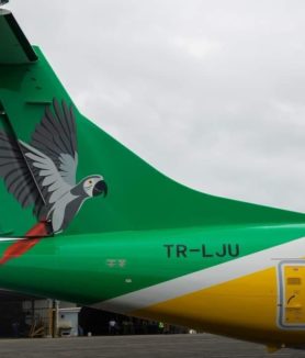 Fly Gabon : le perroquet déploie ses ailes vers des nouveaux horizons